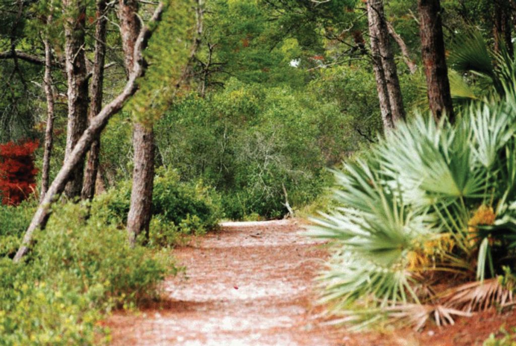 Halpatiokee Park Trail. Courtesy of Martin County Office of Tourism & Marketing