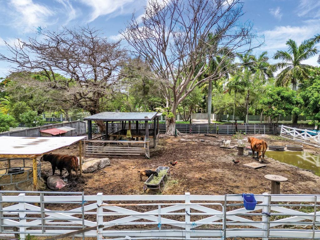 Interact with animals at the adjacent rescue sanctuary. Photo by Daney Cabrera