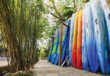 Best Of: Shopping Blueline Surf & Paddle was voted Best Surf Shop in Jupiter. Photo by Greg Panas