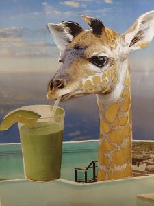 California Dreamin by Deborah Smith. Photo courtesy of Zero Empty Spaces