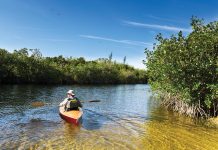 The Untamed Beauty of Florida’s State Parks St. Lucie Inlet Preserve State Park, which boasts a 4.2-mile-long kayak trail. Photo courtesy of iStock