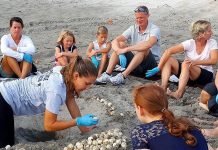 Summer Fun Heats Up at Loggerhead Marinelife Center Hatchling Discovery Program. Photo courtesy of Loggerhead Marinelife Center