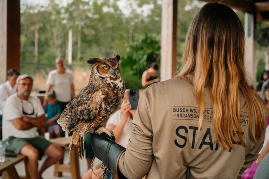 Grant's Farm visitors will meet Busch Wildlife Sanctuary's animal ambassadors July 24–26