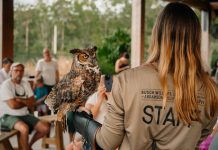 Busch Wildlife Sanctuary Presents Wildlife on the Move Grant's Farm visitors will meet Busch Wildlife Sanctuary's animal ambassadors July 24–26