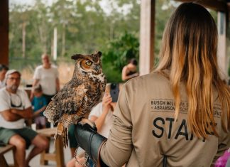 Busch Wildlife Sanctuary Presents Wildlife on the Move Grant's Farm visitors will meet Busch Wildlife Sanctuary's animal ambassadors July 24–26