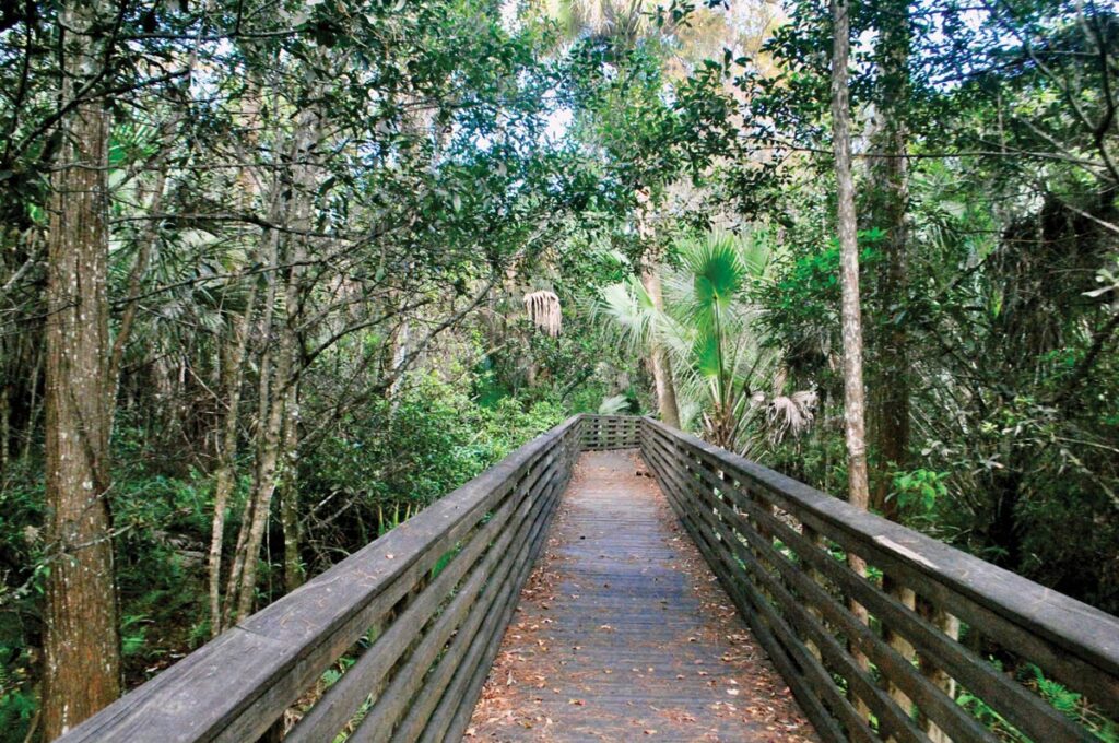 Photo courtesy of Palm Beach County Environmental Resources Management