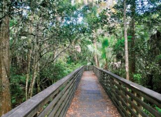 Guide to Enjoying Palm Beach Gardens Photo courtesy of Palm Beach County Environmental Resources Management