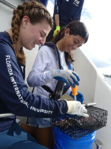 Learn how to measure a shark, study coral reefs, and operate a research vessel. Photo by ANGARI Foundation