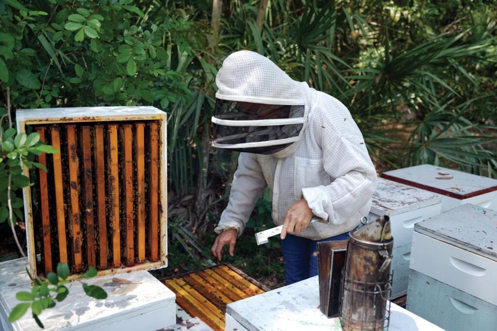 Malnove manages apiaries throughout South Florida, where she monitors her bees through every stage of the honey-making process. Photo by Paul Piasecki