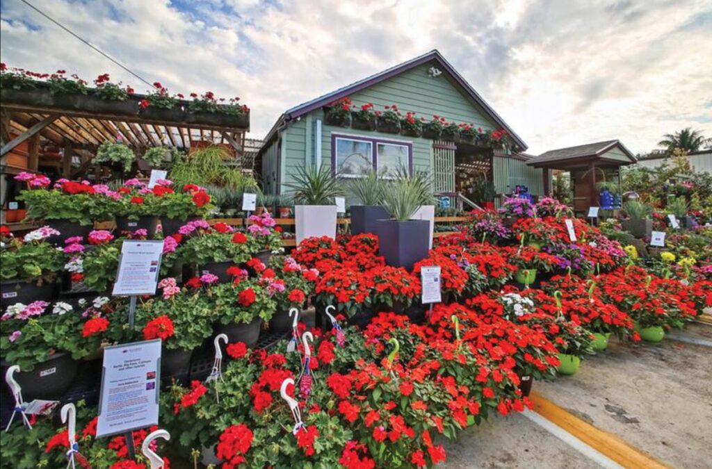 Photo courtesy of Giverny Gardens