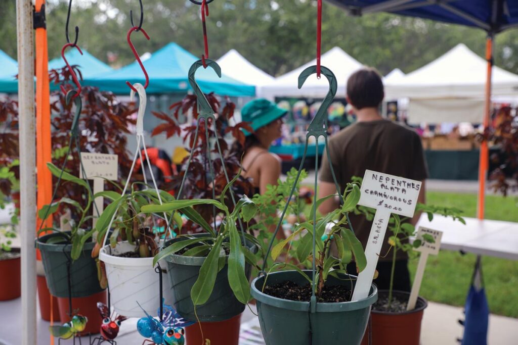 Photo courtesy of The Gardens GreenMarket