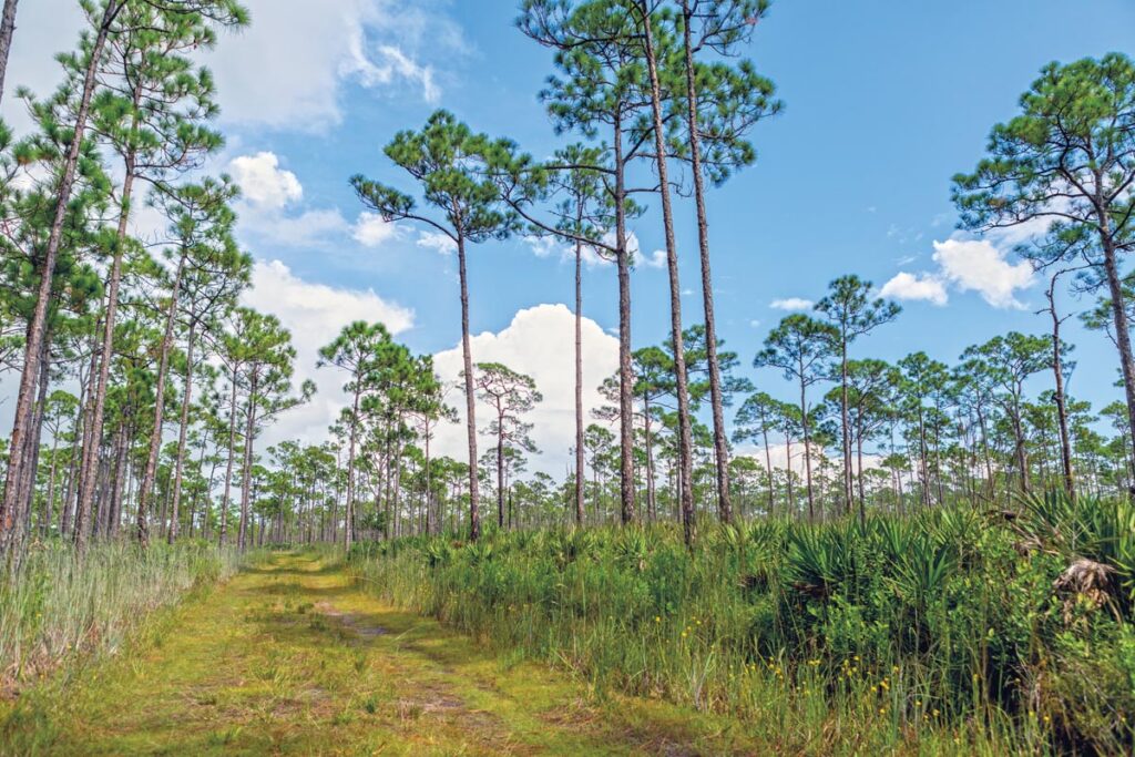 Riverbend Park. Photo courtesy of Adobe Stock