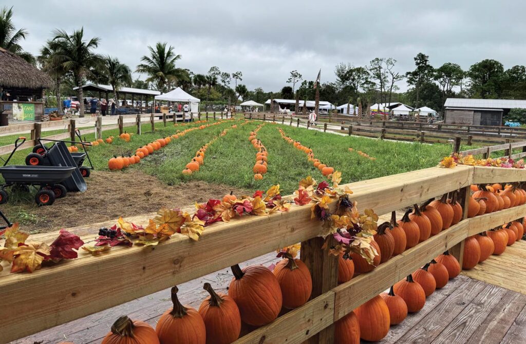 From pumpkin picking and hayrides to farm animals and festive seasonal displays, Hobe Sound Farms offers plenty of ways for families to celebrate fall—and plenty of picture-perfect moments along the way