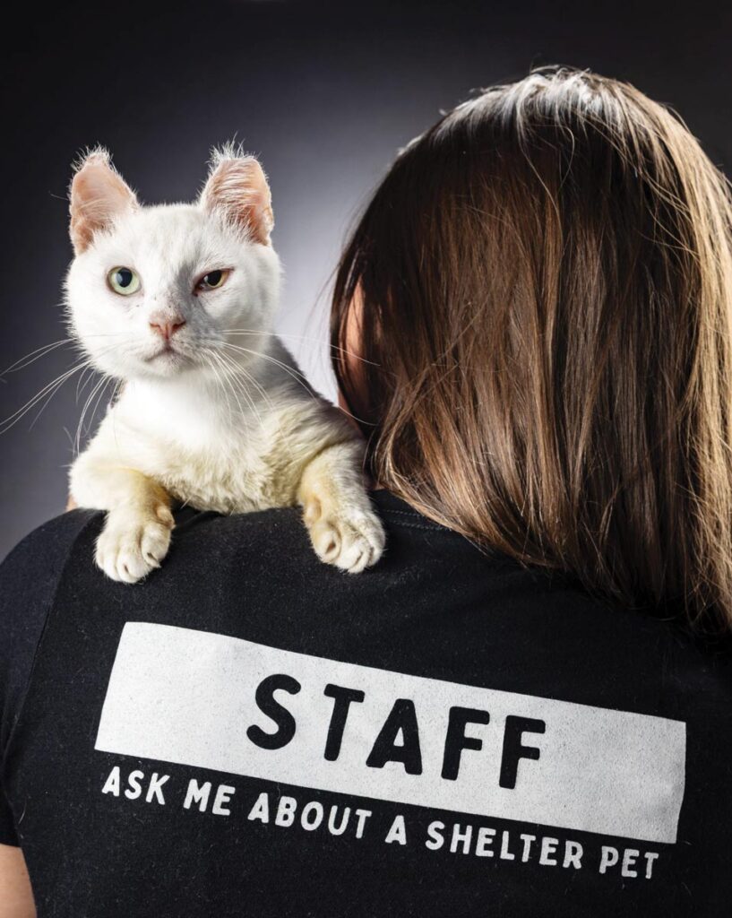 Photo courtesy of Furry Friends Humane